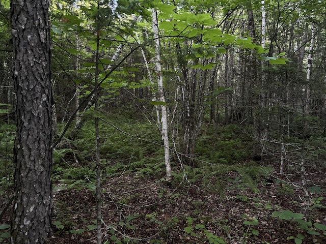 M8RL24, 24A Anson Valley Rd, New Vineyard, ME 04956
