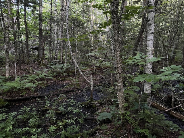 M8RL24, 24A Anson Valley Rd, New Vineyard, ME 04956