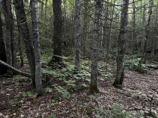 M8RL24, 24A Anson Valley Rd, New Vineyard, ME 04956