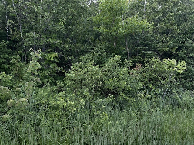 M8RL24, 24A Anson Valley Rd, New Vineyard, ME 04956