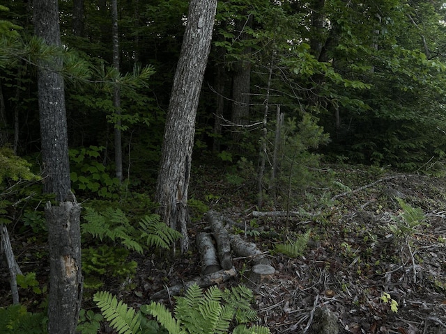 M8RL24, 24A Anson Valley Rd, New Vineyard, ME 04956