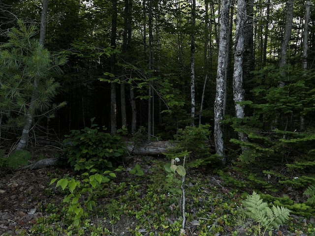 M8RL24, 24A Anson Valley Rd, New Vineyard, ME 04956