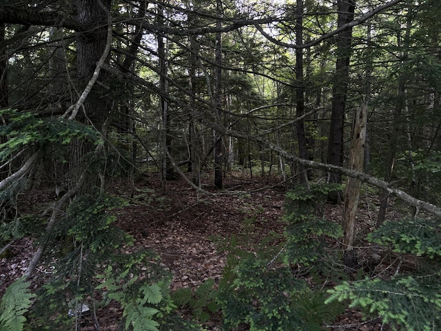 M8RL24, 24A Anson Valley Rd, New Vineyard, ME 04956