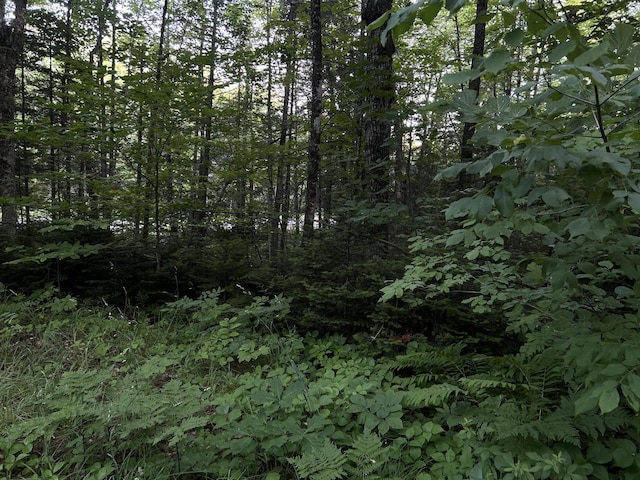M8RL24, 24A Anson Valley Rd, New Vineyard, ME 04956