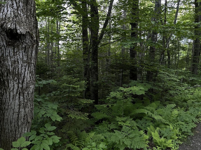 M8RL24, 24A Anson Valley Rd, New Vineyard, ME 04956