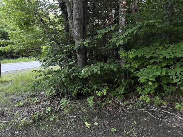 M8RL24, 24A Anson Valley Rd, New Vineyard, ME 04956