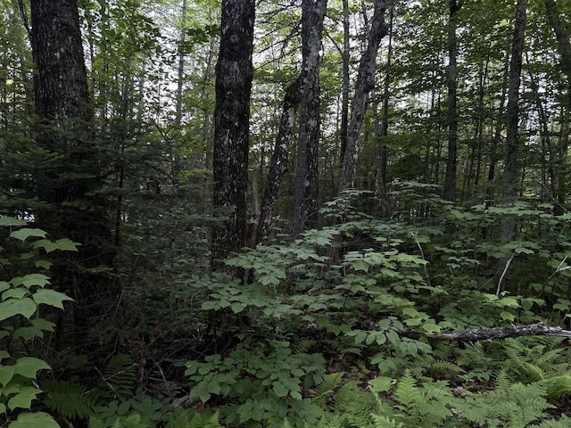 M8RL24, 24A Anson Valley Rd, New Vineyard, ME 04956