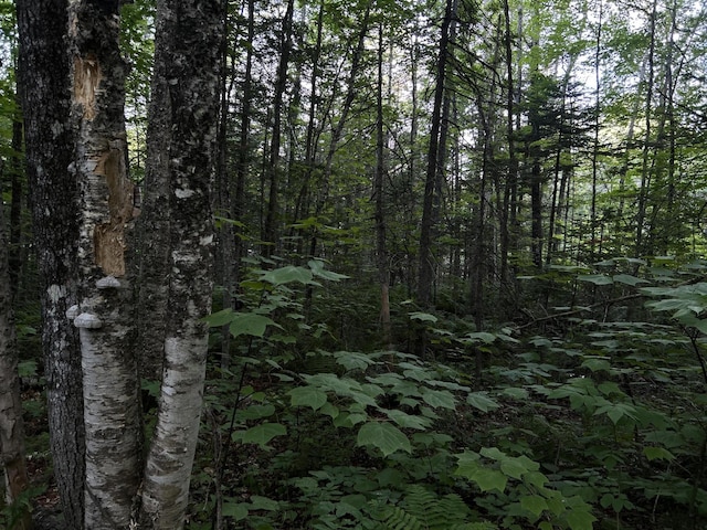 M8RL24, 24A Anson Valley Rd, New Vineyard, ME 04956