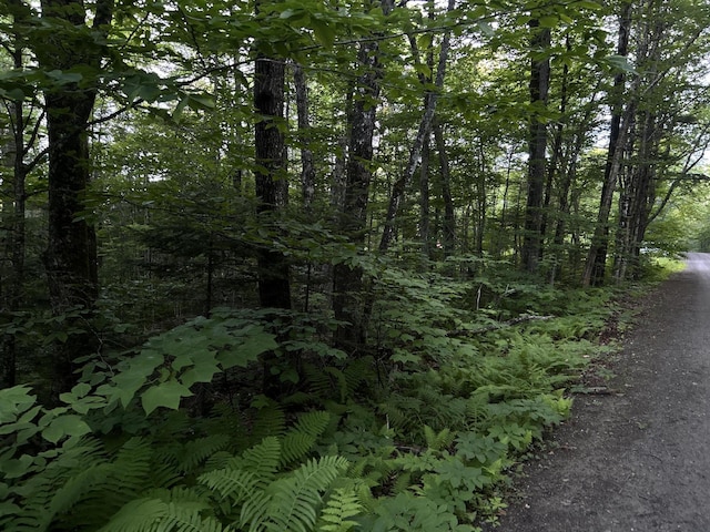 M8RL24, 24A Anson Valley Rd, New Vineyard, ME 04956