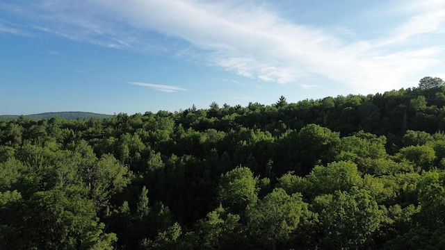 M8RL24, 24A Anson Valley Rd, New Vineyard, ME 04956