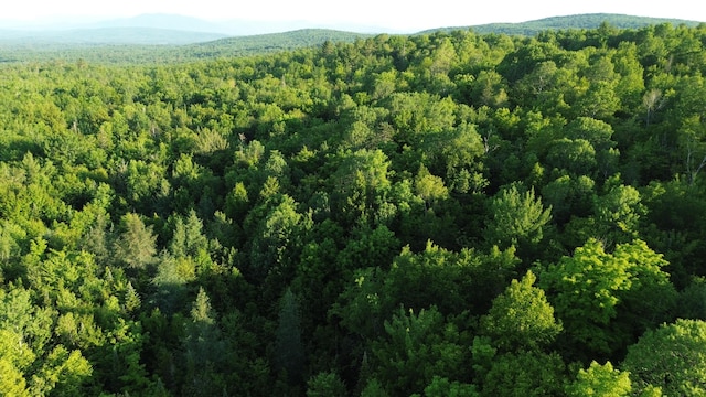 M8RL24, 24A Anson Valley Rd, New Vineyard, ME 04956