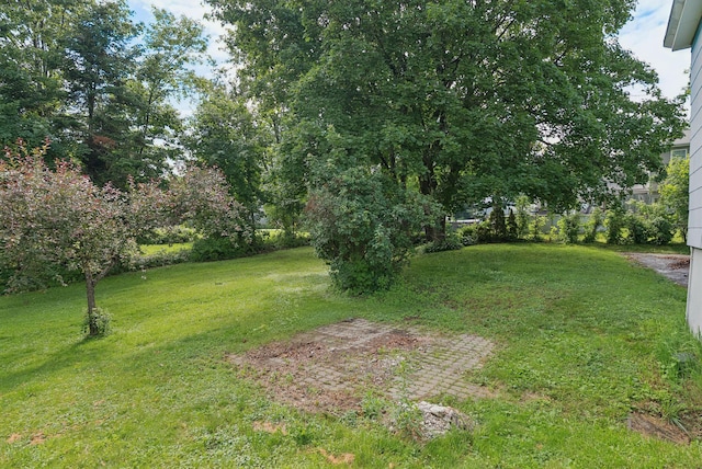15 Huston Ave, Auburn, ME 04210 - view of grassy yard