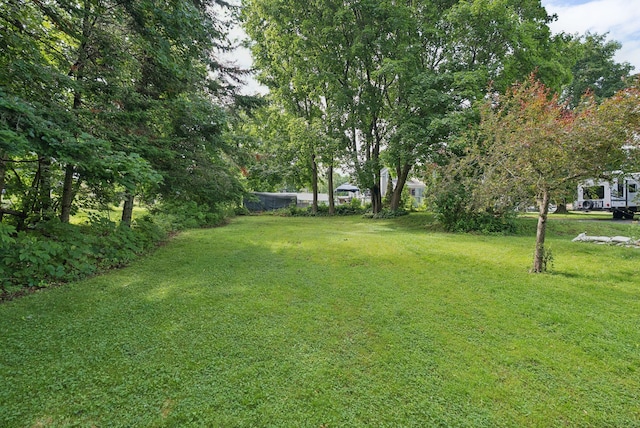 15 Huston Ave, Auburn, ME 04210 - view of grassy yard