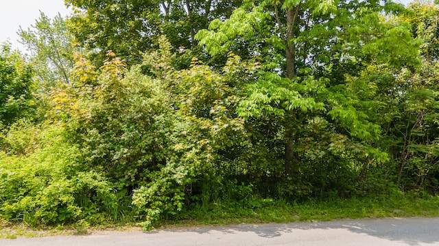 LOT56 Old County Rd, Winterport, ME 04496 - photo 10