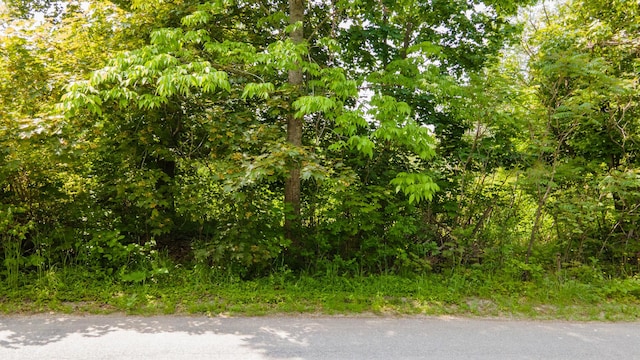 LOT56 Old County Rd, Winterport, ME 04496 - photo 11