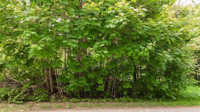 LOT56 Old County Rd, Winterport, ME 04496 - photo 13
