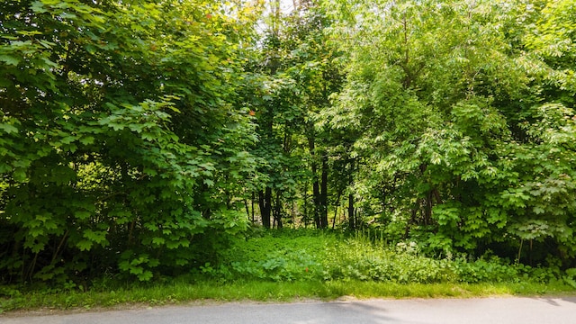 LOT56 Old County Rd, Winterport, ME 04496 - photo 14