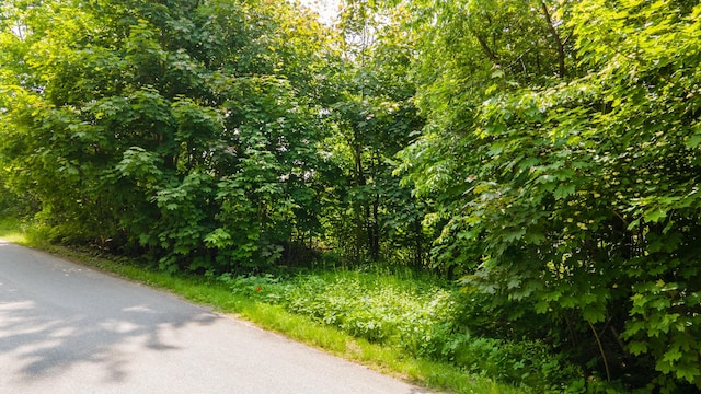 LOT56 Old County Rd, Winterport, ME 04496 - photo 15