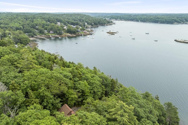 127 Appalachee Rd, Boothbay Harbor, ME 04538 - bird's eye view of a forest and a nearby body of water