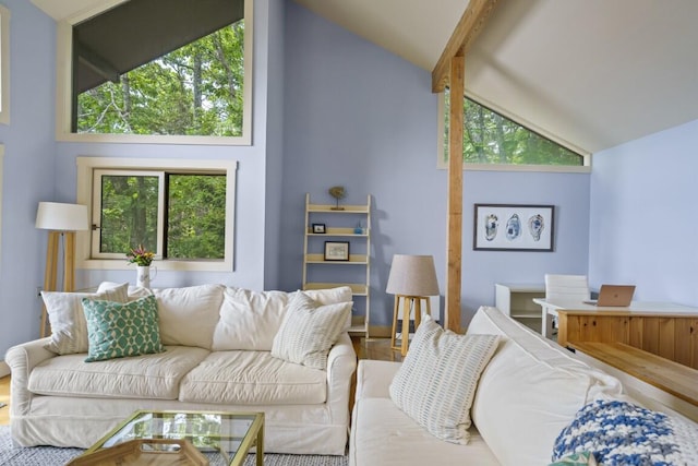 127 Appalachee Rd, Boothbay Harbor, ME 04538 - living room with high vaulted ceiling and wood finished floors