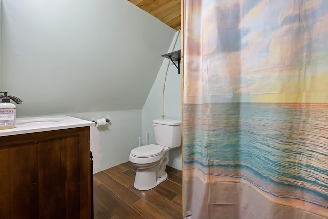 36 Palmer Rd, Etna, ME 04434 - bathroom featuring lofted ceiling, vanity, and wood finished floors