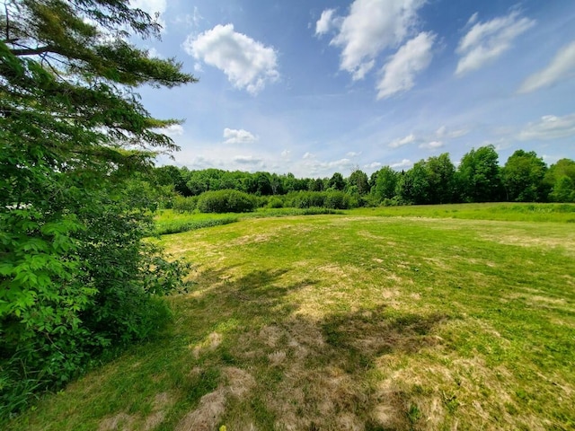 523 Exeter Rd, Corinth, ME 04427 - view of green lawn featuring a view of trees
