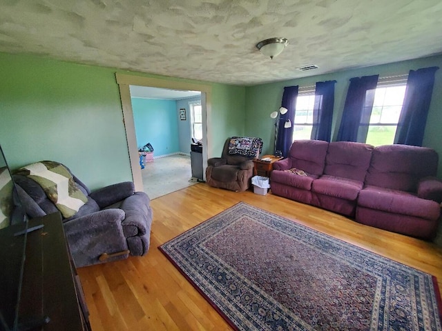 523 Exeter Rd, Corinth, ME 04427 - living area featuring wood finished floors