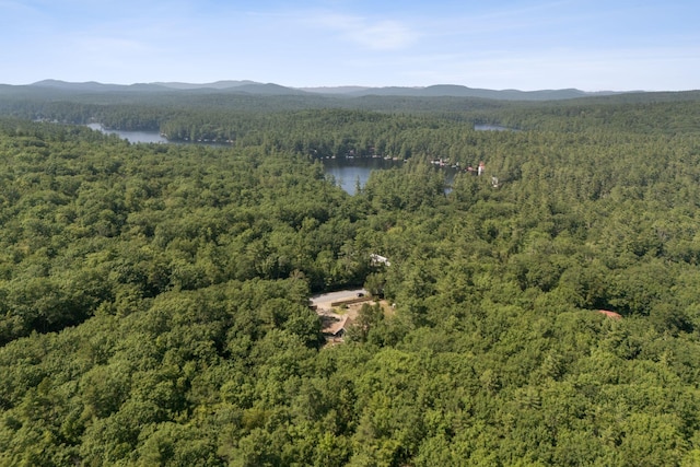 2144 Acton Ridge Rd, Acton, ME 04001 - photo 35