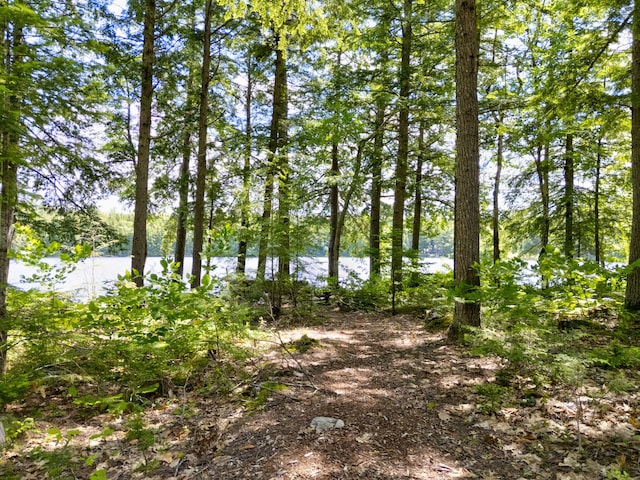 27 Powers Camp Rd, Lovell, ME 04051 - photo 13