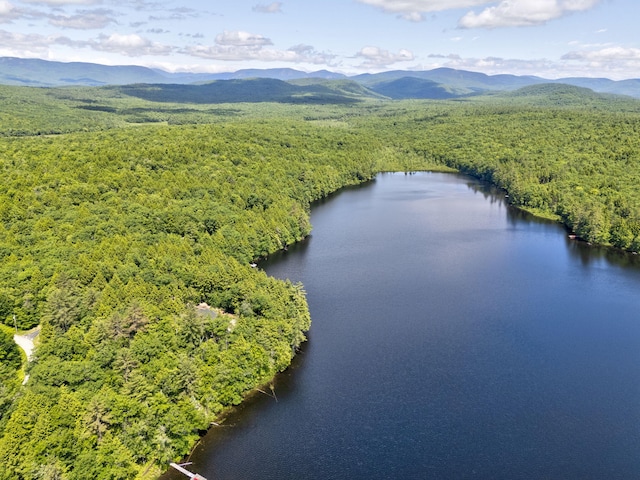 27 Powers Camp Rd, Lovell, ME 04051 - photo 74