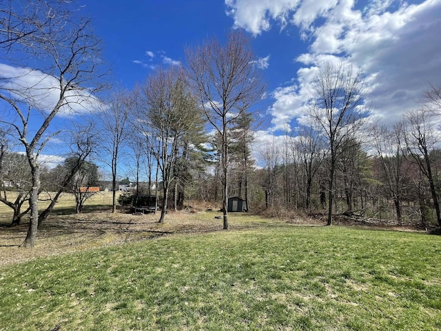 28 Kayla Way, Gorham, ME 04038 - view of green lawn featuring a storage shed