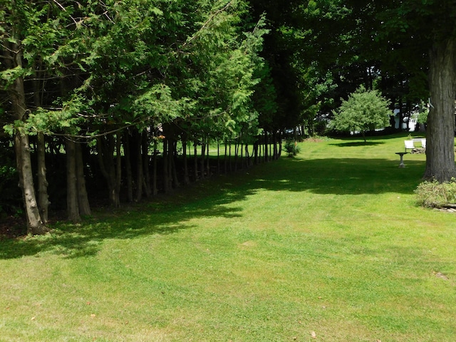 10 Liberty St, Dexter, ME 04930 - view of grassy yard