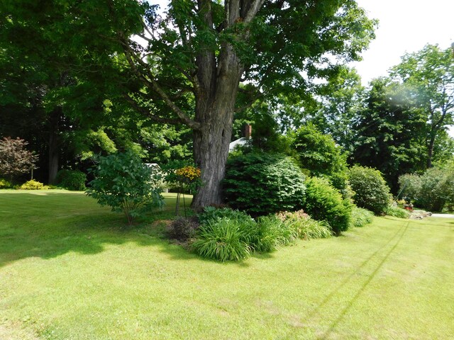 10 Liberty St, Dexter, ME 04930 - view of grassy yard