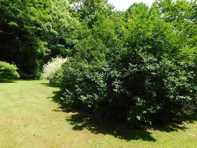10 Liberty St, Dexter, ME 04930 - view of green lawn with a forest view