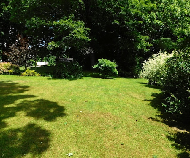 10 Liberty St, Dexter, ME 04930 - view of green lawn