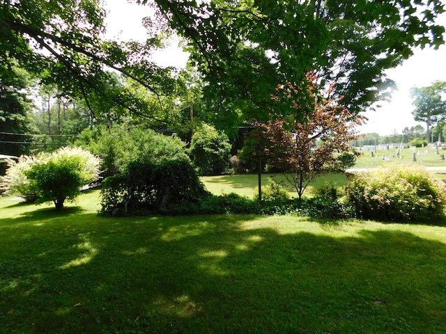 10 Liberty St, Dexter, ME 04930 - view of grassy yard