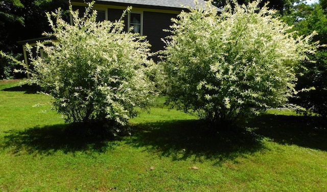 10 Liberty St, Dexter, ME 04930 - view of grassy yard