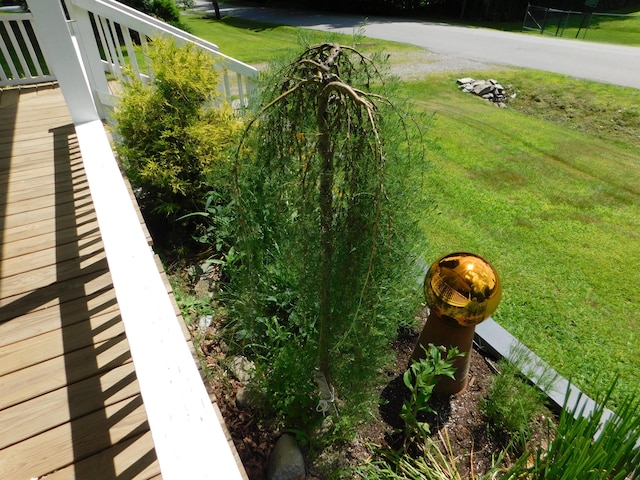 10 Liberty St, Dexter, ME 04930 - view of yard