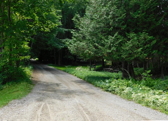 10 Liberty St, Dexter, ME 04930 - view of dirt / gravel road