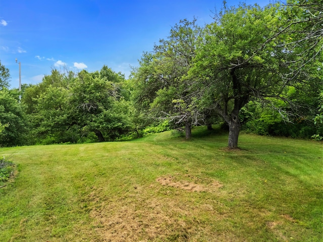 549 Litchfield Rd, Bowdoin, ME 04287 - photo 65