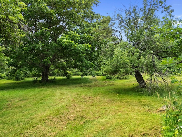 549 Litchfield Rd, Bowdoin, ME 04287 - photo 68