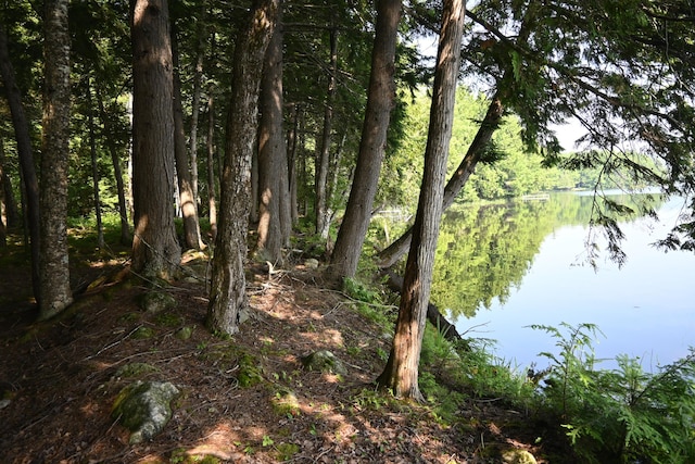 17 Fawn Dr, Embden, ME 04958 - photo 47