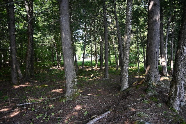 17 Fawn Dr, Embden, ME 04958 - photo 39