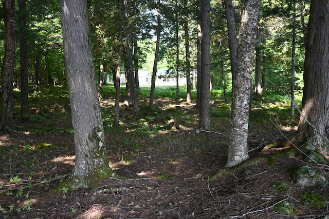 17 Fawn Dr, Embden, ME 04958 - photo 40