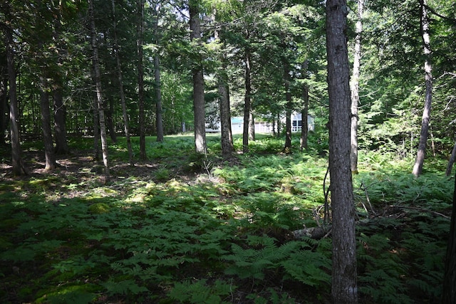 17 Fawn Dr, Embden, ME 04958 - photo 41