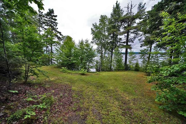 134 Sandy Beach Rd, Danforth, ME 04424 - photo 87