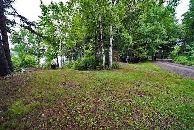 134 Sandy Beach Rd, Danforth, ME 04424 - photo 89