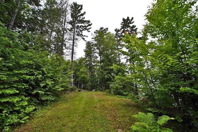 134 Sandy Beach Rd, Danforth, ME 04424 - photo 90