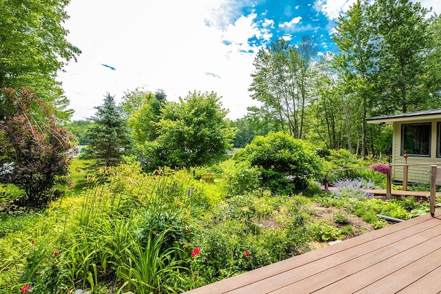 68 Poland Rd, Lincolnville, ME 04849 - photo 98