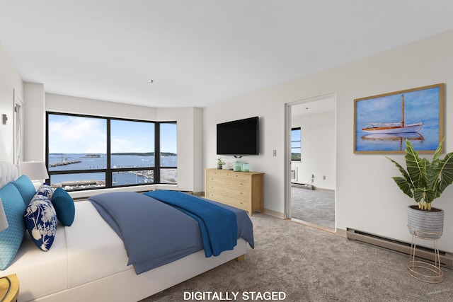 148 Breakwater Dr Unit 808, South Portland, ME 04106 - unfurnished bedroom with light carpet, multiple windows, and a baseboard heating unit